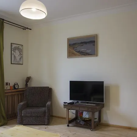 Butas Neries Apartamentai Vilnius
